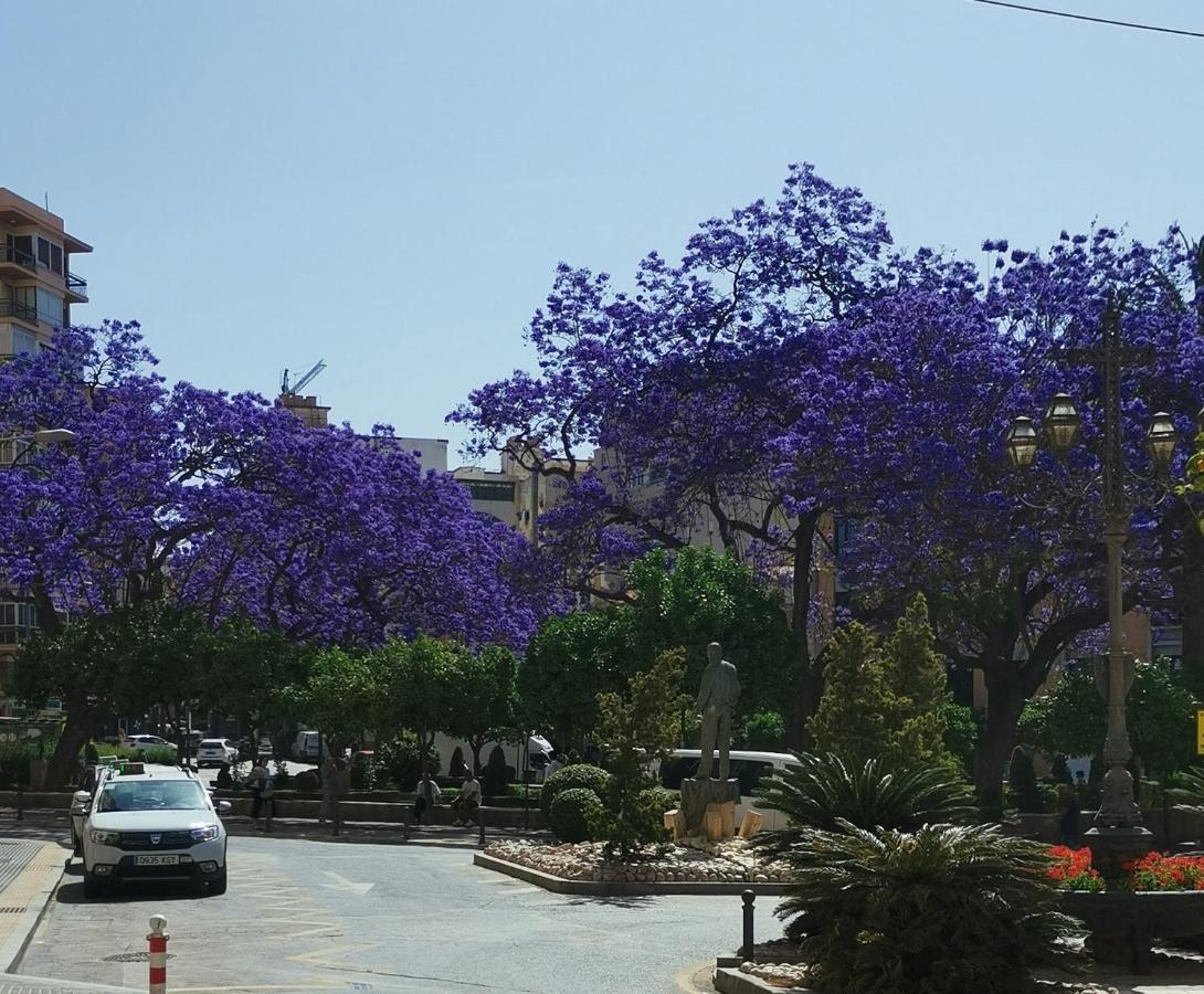Encantador Bajo En Malaga Luaran gambar
